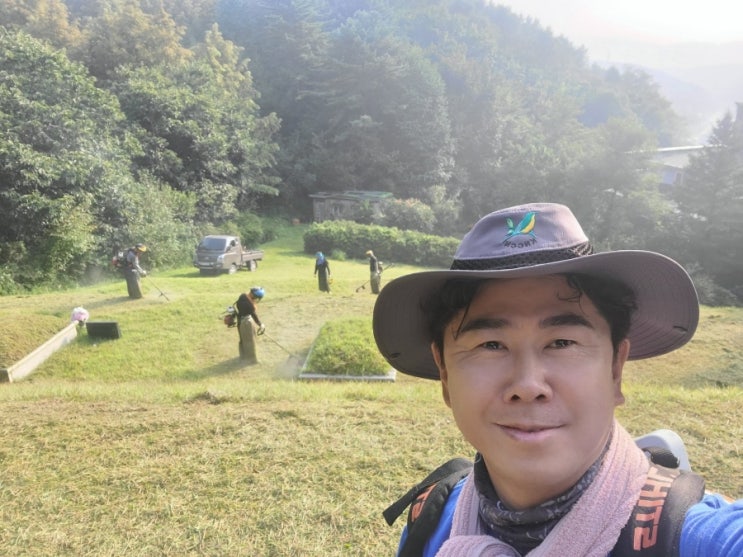  대벌초