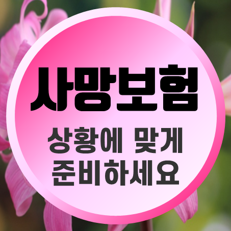  질병사망보험과 재해사망보험, 어떤 것을 선택해야 할까요?