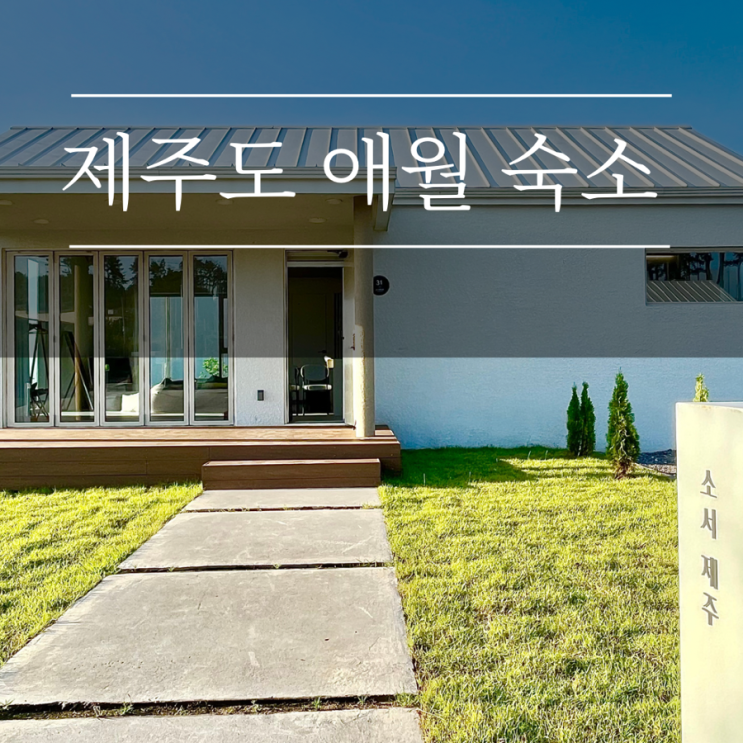  제주도 펜션 가족 독채 애견동반 숙소 추천 애월 소서 제주 7월1일 신상 23년 감성 서쪽 강아지와 여행