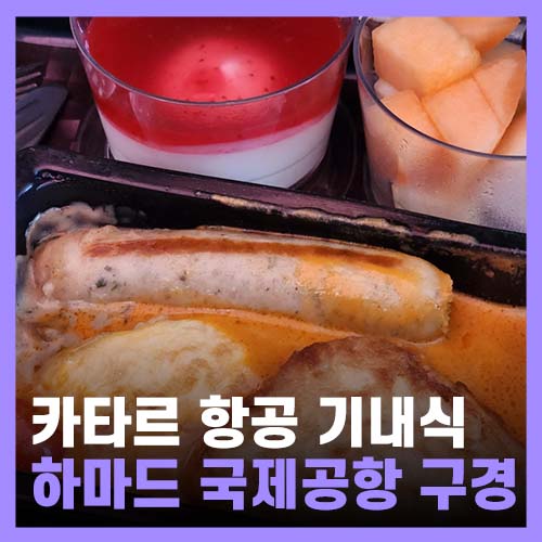  카타르 항공 기내식 후기, 도하 하마드 공항 둘러보기