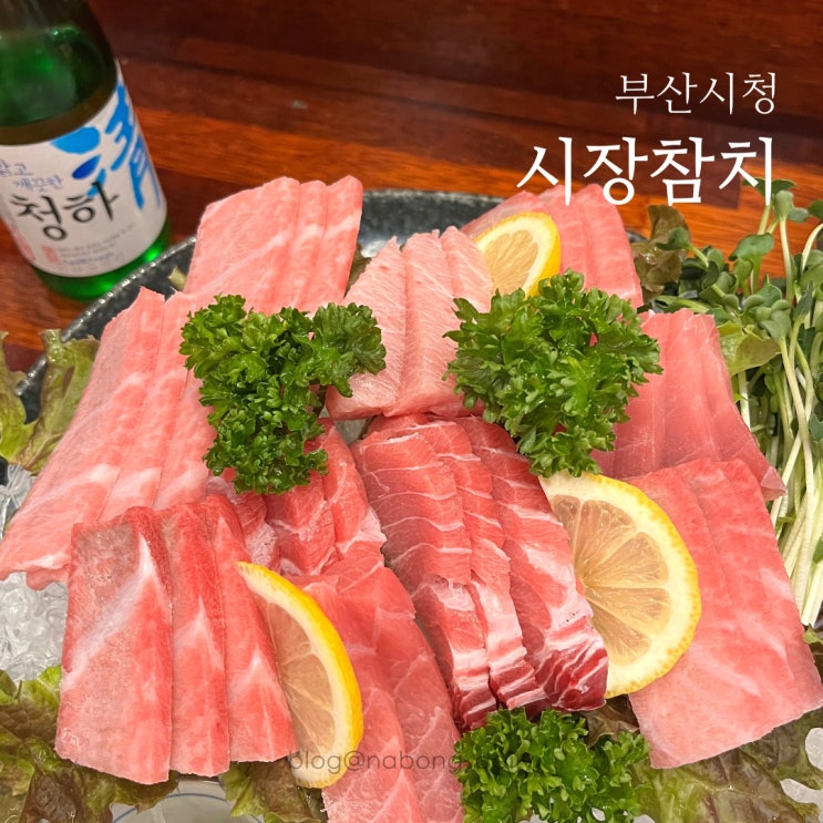  부산시청참치 시장참치 부산시청역맛집은 여기!