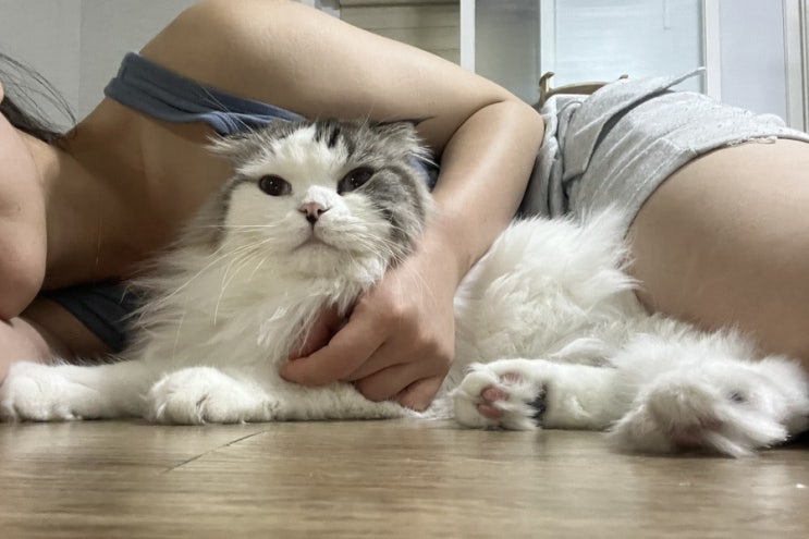  [일상] 백수 김여진씨, 이별과 나름의 1일차