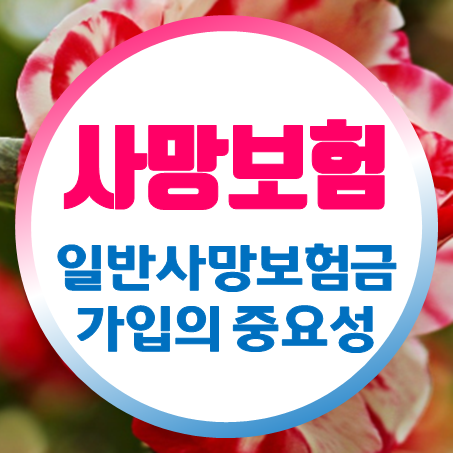  일반사망보험 가입의 중요성과 그 특징 및 일반사망보험금의 범위와 의의