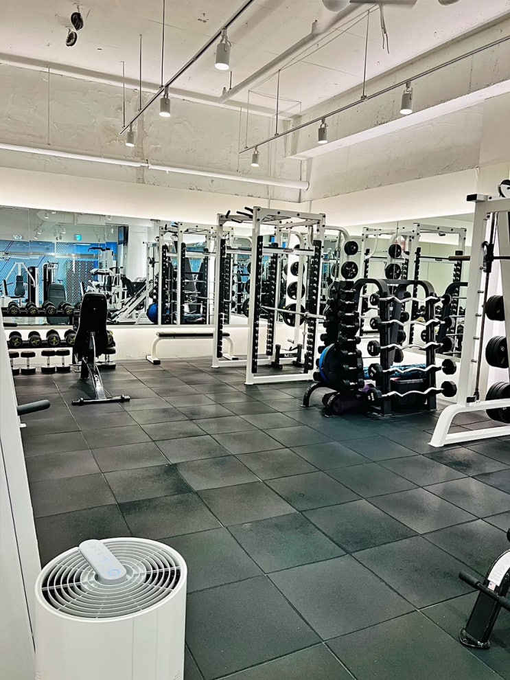 <b>일산 백석동</b> <b>PT</b> 친절하고 자세히 알려주는 피티샵 <b>다이어트</b>팩... 