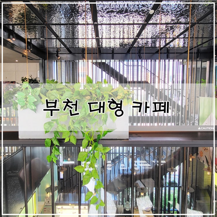  [부천 대형 카페] | 부천 베이커리 역곡 브런치 여유롭게 즐기기 좋은 "비맨션"