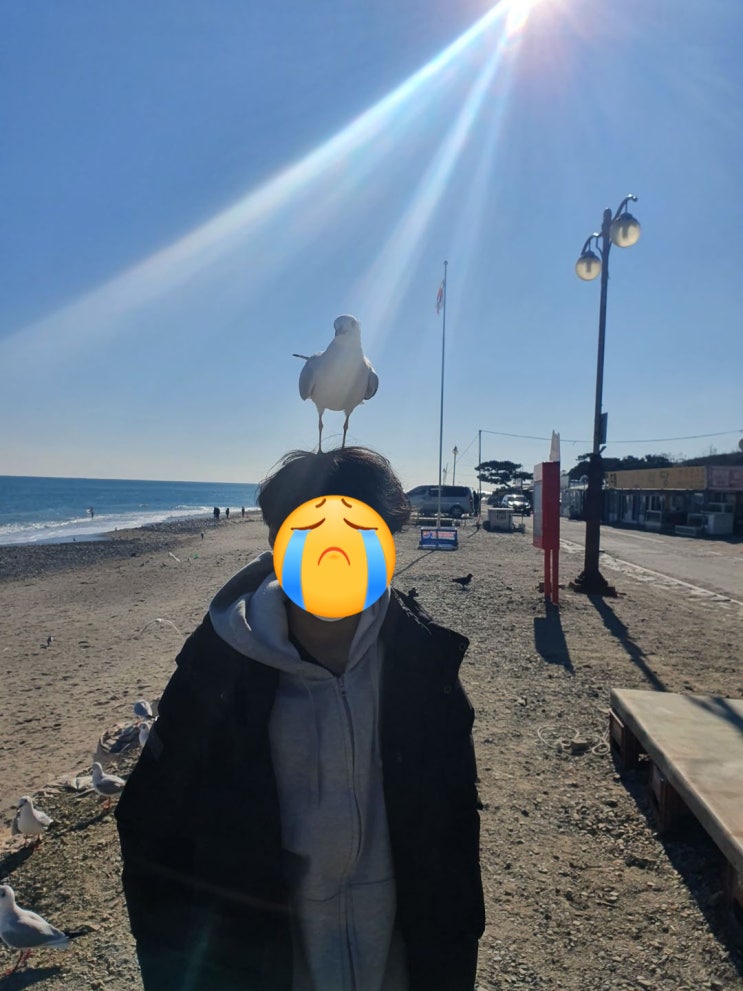  여름에 생각하는 부산 : 겨울 나들이