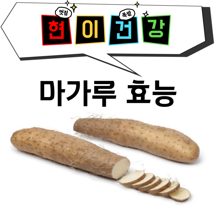  마가루 효능 마가루 먹는 방법 알아보기