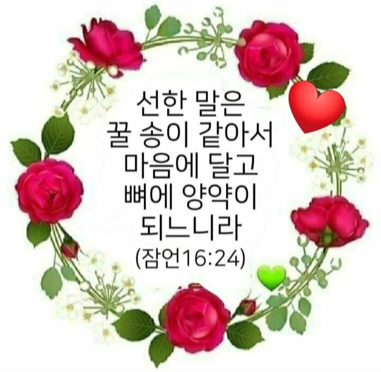오늘의 성경 한마디 선한말은 오늘의 성경 한마디 선한말은