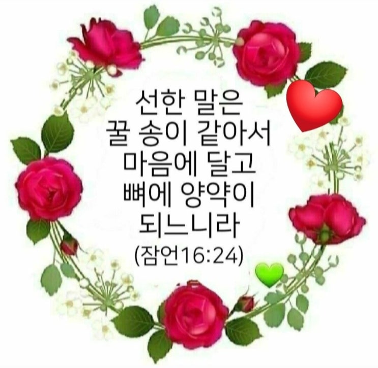 오늘의 성경 한마디 선한말은