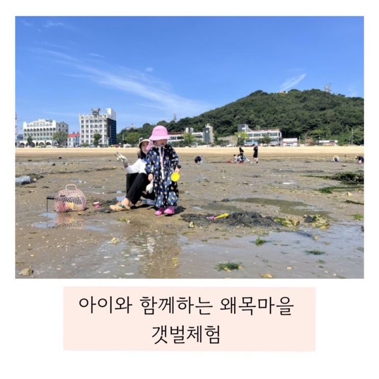  (당진 왜목마을 해수욕장) 갯벌체험 