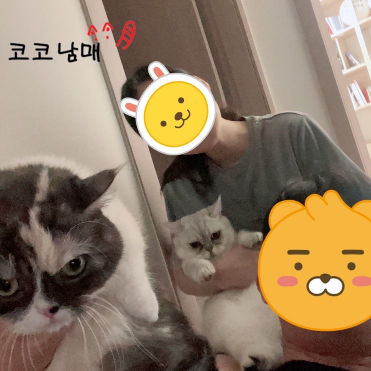  [집사일기] 사진 / 방문자수 / 건강검진 / 독서 / 결혼준비