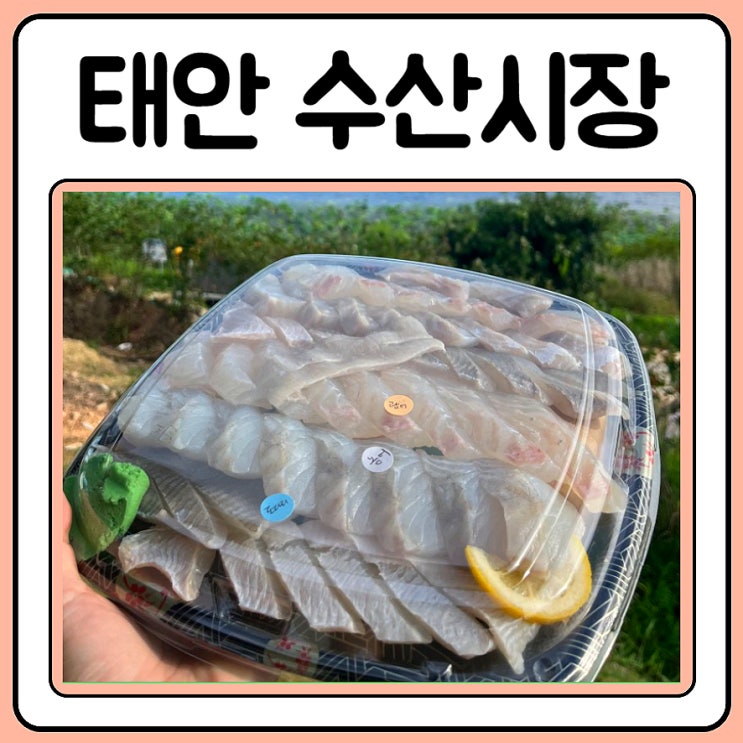  태안수산시장 안면도 매일수산365에서 회 포장