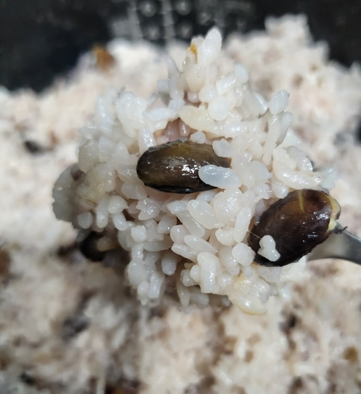 맛있는 당일도정 명품햅쌀(비단쌀,서리태)이유식쌀 추천 맛있는 당일도정 명품햅쌀(비단쌀,서리태)이유식쌀 추천