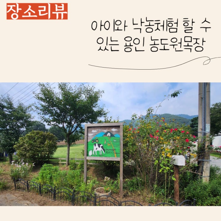  (용인 아이랑 가기좋은곳) 아이와 낙농체험을 즐길 수 있는 농도원목장 후기-오후일정