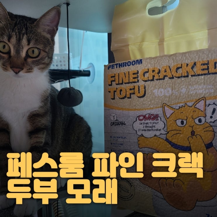 페스룸 파인 크랙 두부 모래로 고양이 모래 바꿔줘봄