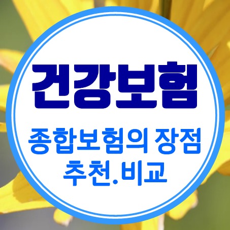  종합건강보험의 장점과 종합보험비교 및 종합보험추천 방법