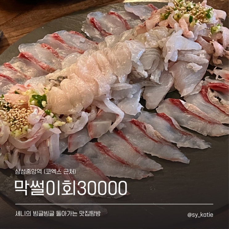  해산물 러버의 삼성중앙역 횟집 “막썰이회30000” 방문기