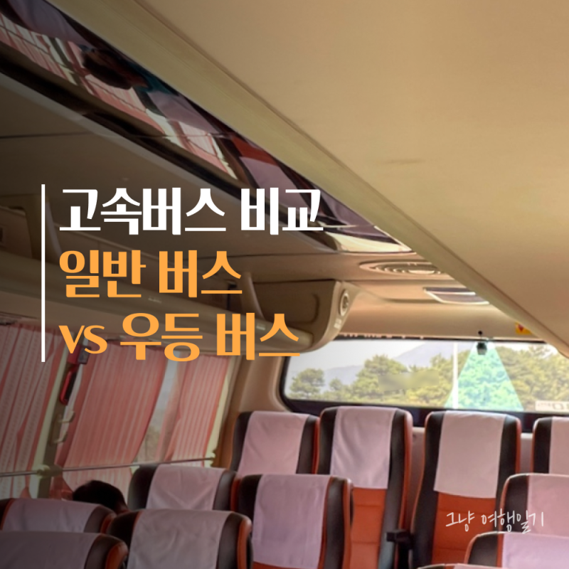 고속버스 비교 | 일반버스 vs 우등버스 취식 자리추천 음식섭취