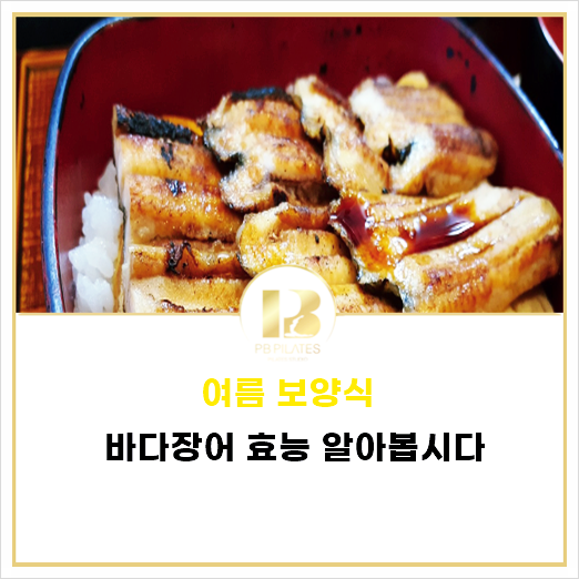 바다장어의 4가지 효능과 부작용 칼로리 장어즙 효능