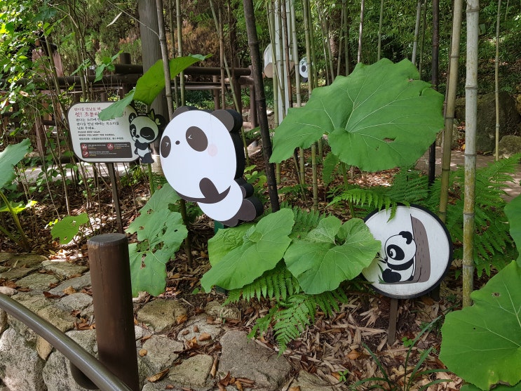 에버랜드 판다월드 푸바오