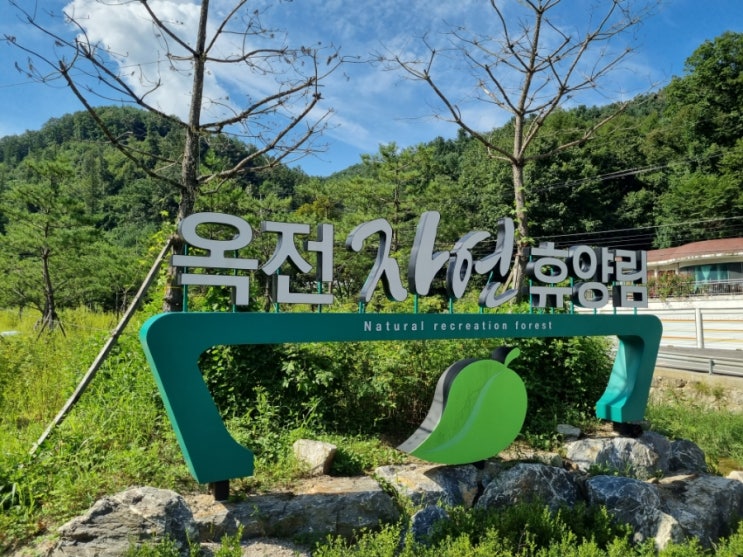  [8월의 숲캉스] 제천 '옥전자연휴양림' 노목 2호