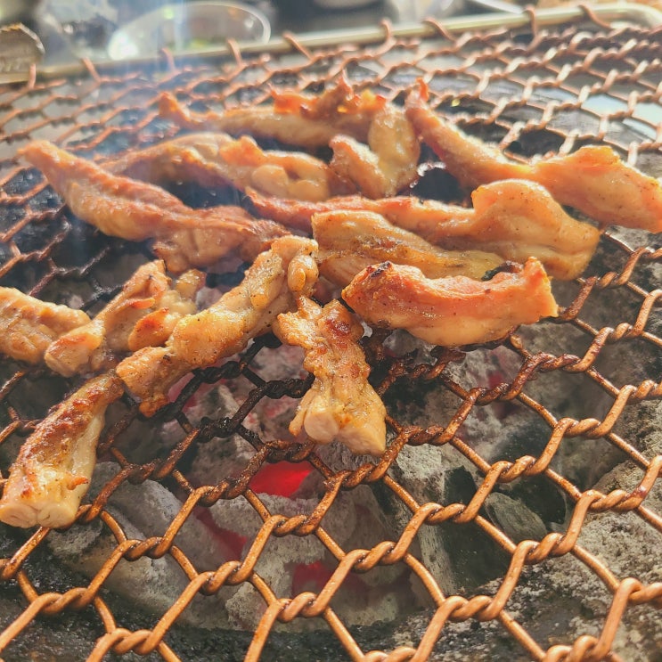  진주맛집 진주고기맛집 오다가다에서 닭특수부위를 맛보세요