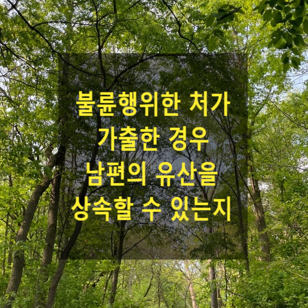  상속 - 불륜행위한 처가 가출한 경우 남편의 유산을 상속할 수 있는지