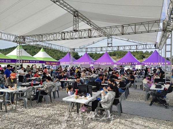  신안군, 9월 8일부터 황금의 섬 팔금도에서 섬 왕새우 축제 개최