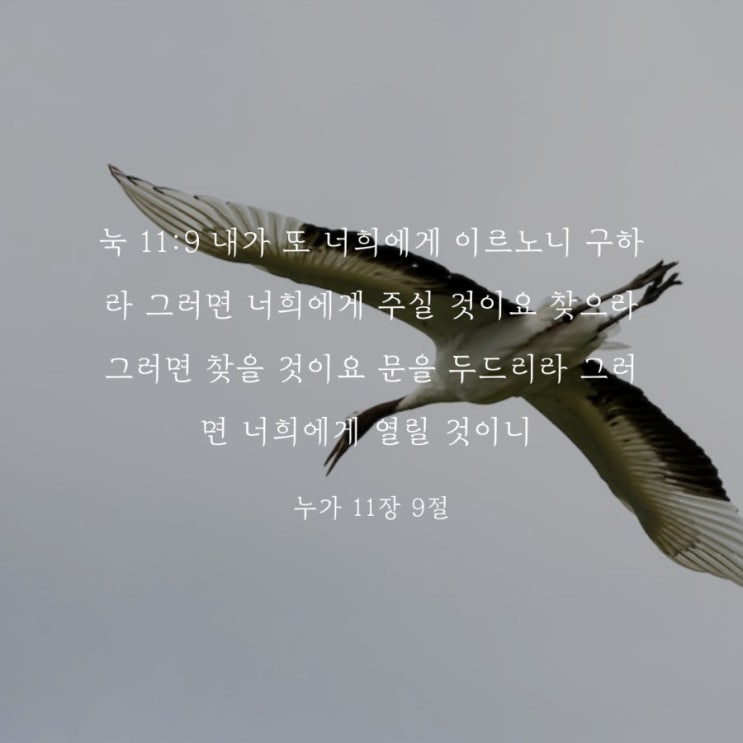 오늘의 성경 은혜의 말씀