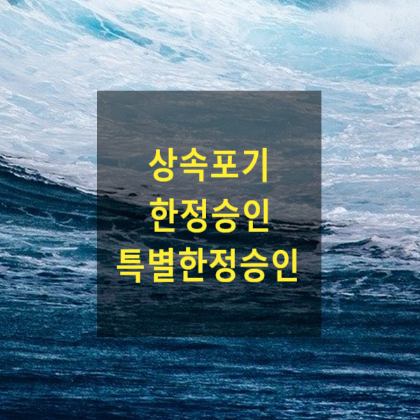  상속 - 상속포기, 한정승인, 특별한정승인