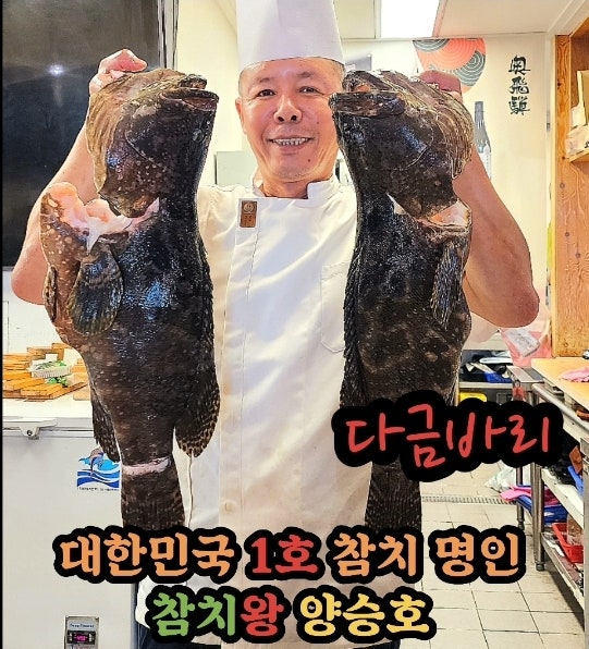 발산역 마곡동 참치집 참치왕 양승호 참치와 다금바리의 콜라보 : 참치회 입문은 참치왕 양....
