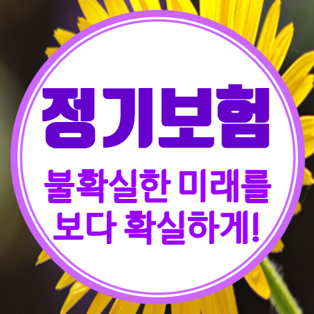  정기보험가입, 인터넷정기보험으로 불확실한 미래를 보다 확실하게!
