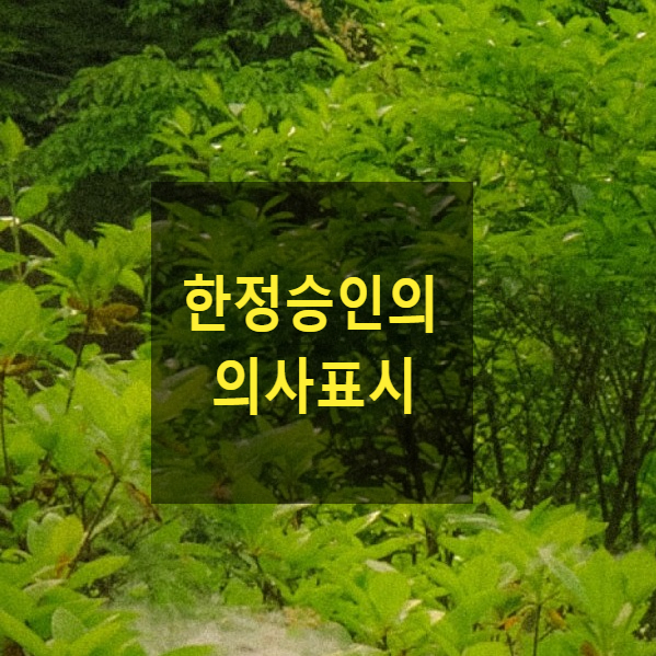  상속 - 한정승인의 신고, 수리, 보정, 각하, 즉시항고