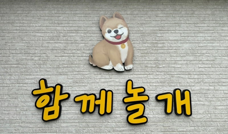 사진 4