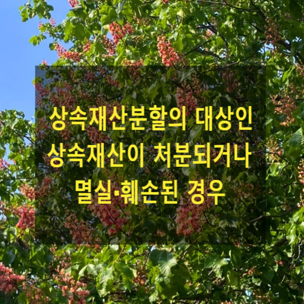  상속 - 상속재산분할의 대상이던 상속재산이 처분되거나 멸실·훼손된 경우