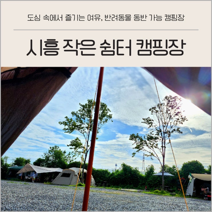 경기도 시흥 작은 쉼터 캠핑장 도심 속 휴식 수도권 캠핑장 후기