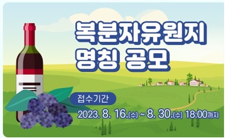 사진 3