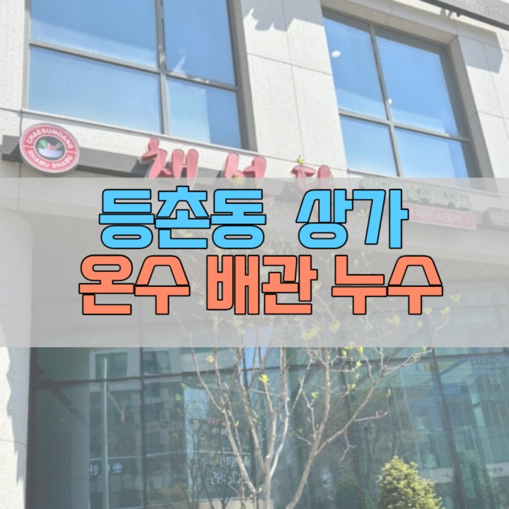 # 등촌동 상가 채선당 온수 배관 누수 #