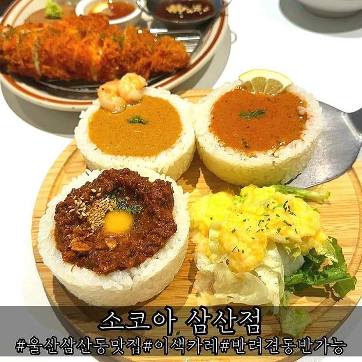 울산 삼산동 맛집 매력적인 카레 소코아 삼산점
