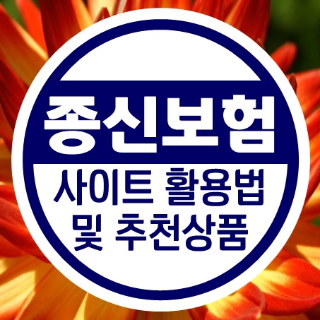 종신보험추천과 종신보험비교사이트 활용법