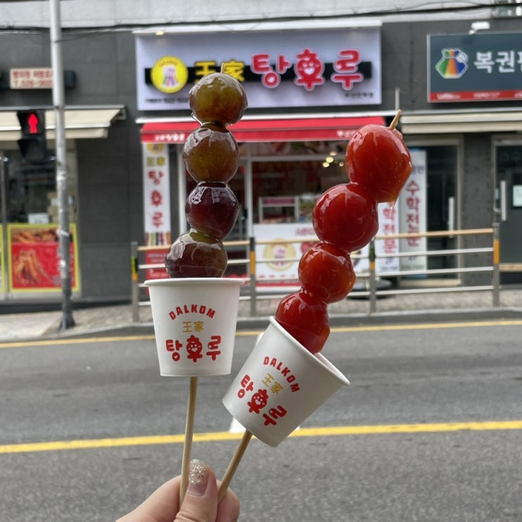 안락동 탕후루 달콤왕가탕후루 안락점 메뉴 솔직후기