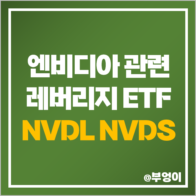 엔비디아 관련주 미국 ETF NVDL NVDS 주가 NVDA 주식 엔비디아 관련주 미국 ETF NVDL NVDS 주가 NVDA 주식