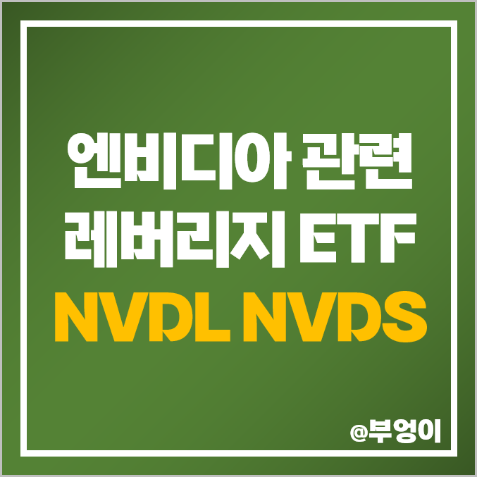 엔비디아 관련주 미국 ETF NVDL NVDS 주가 NVDA 주식