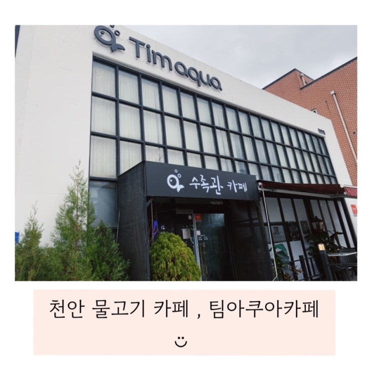  (천안 팀아쿠아 카페) 아이들도 좋아하는 물고기카페️