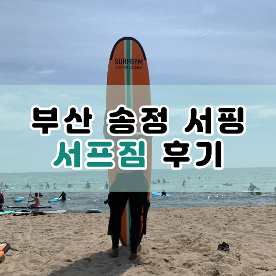 송정 서핑 강습 서프짐 갔다 왔어요!