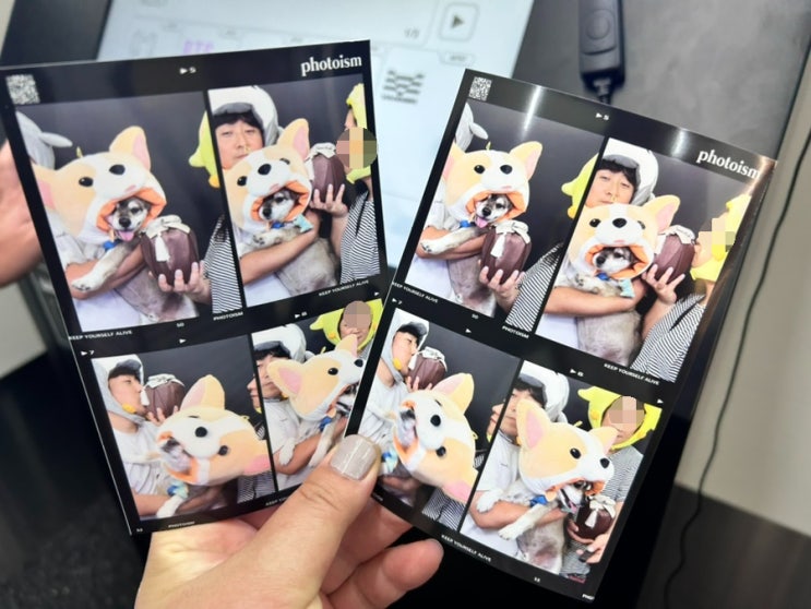  무지개별을 여행중인 나무가 좋아하는 가을이 오는가보다