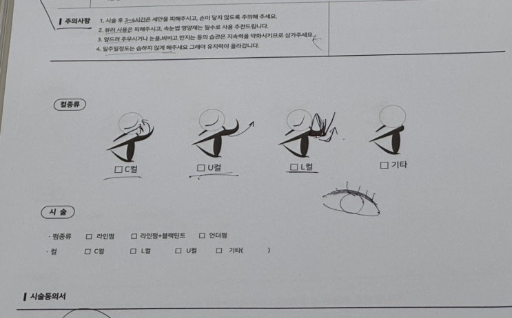  뷰티 | 천안 잇츠미라인 속눈썹 펌
