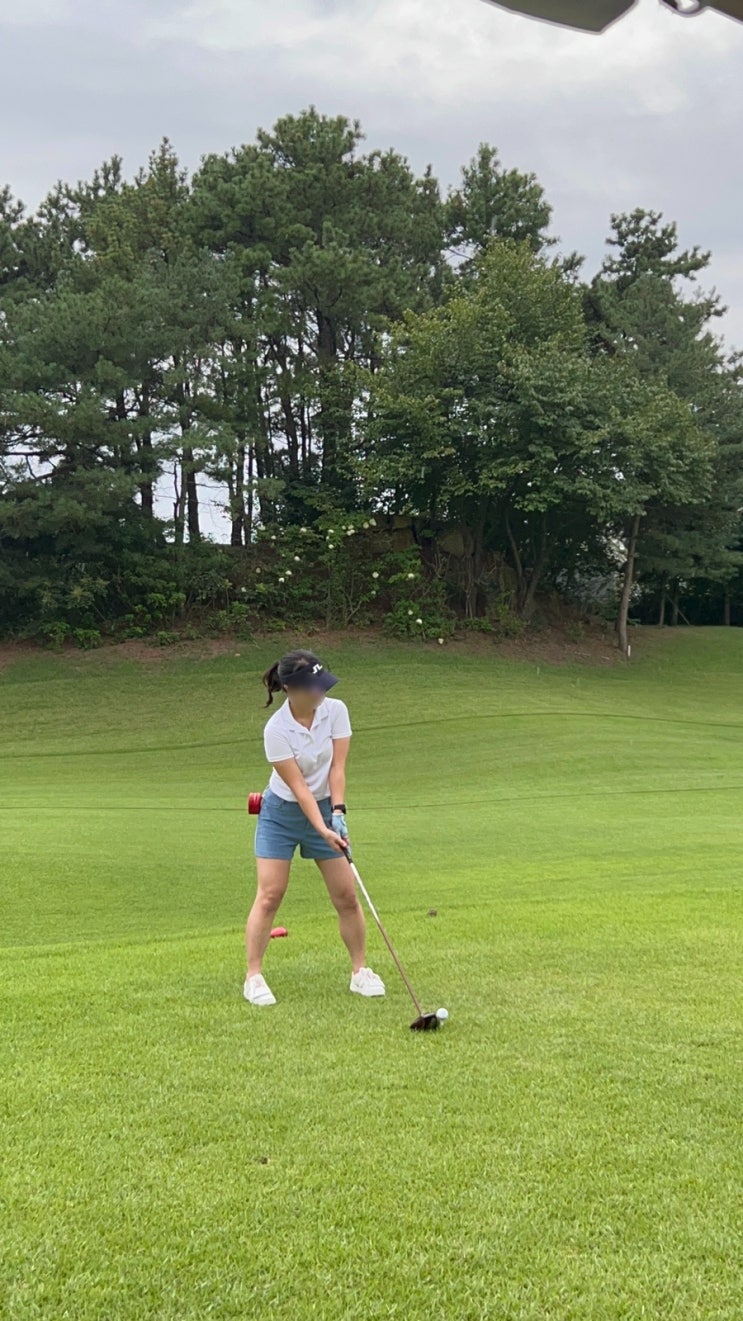  초보 골퍼 추천 골프장 자유cc 주말 2부 라운딩