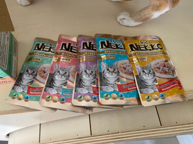 고양이 습식간식 네코그레이비 5종, 내추럴그레이트니스 살몬&터키 위드 펌킨캣닙 캔200g 구매 후기