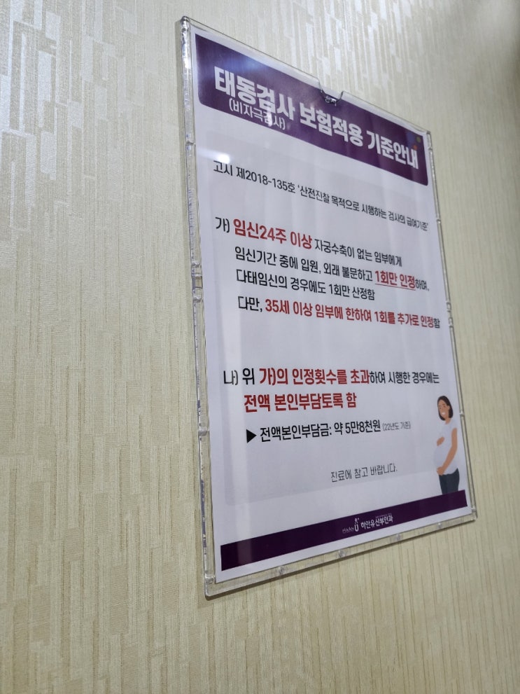  임신 24주 임신선당뇨재검사 임당검사통과 태동검사 팁 후기